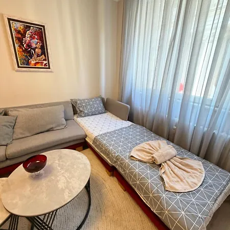 Vienna 2bdr Near Opera And Cathedral W Working Space Apartment *