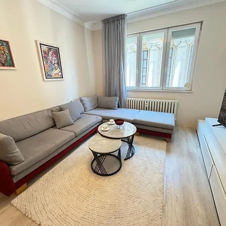 Vienna 2bdr Near Opera And Cathedral W Working Space