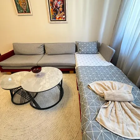 Vienna 2bdr Near Opera And Cathedral W Working Space Apartment