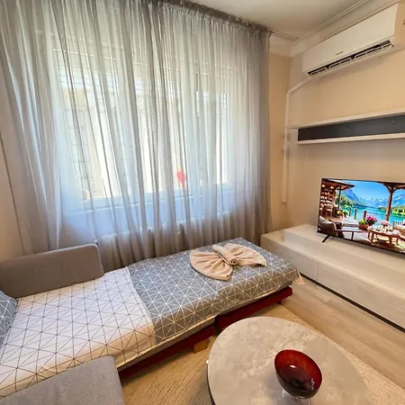 Vienna 2bdr Near Opera And Cathedral W Working Space Apartment